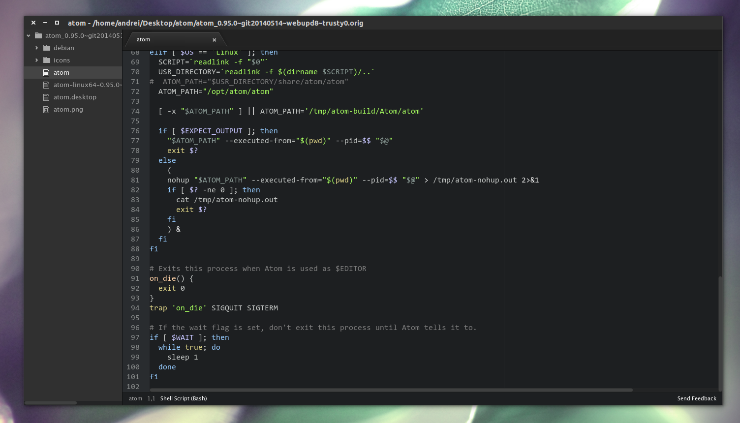 atom editor atom editor