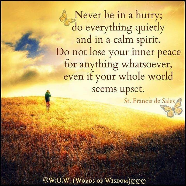 NEVER BE IN A HURRY DO EVERYTHING QUIETLY AND IN A CALM SPIRIT DO NOT