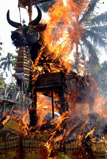Download this Ngaben The Cremation Procession Bali picture