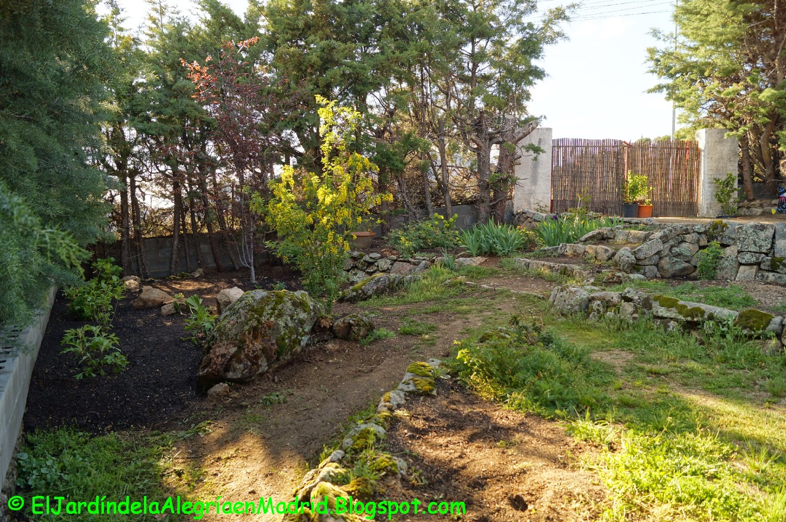 El jardín de la alegría : Un rincón en el jardín para cultivar algunas