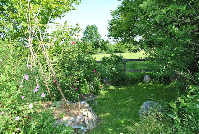 [Bild: Auffahrt_Kreekenecke]