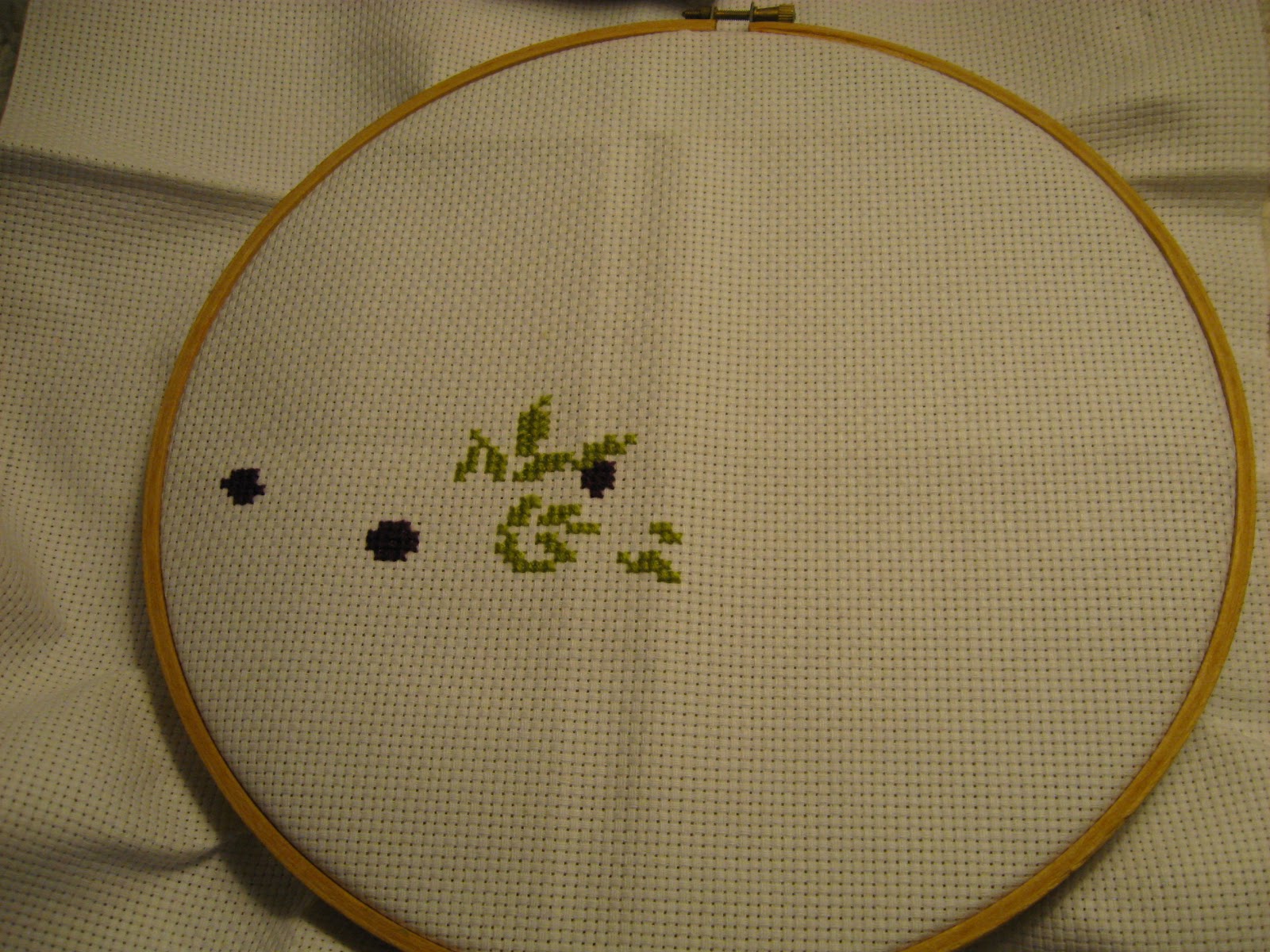 iGo Green 2010 How to Cross Stitch for Beginner