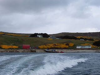 De viajeros por las Islas Malvinas o Falkland Islands 4