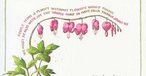 Everyday Artist Bleeding Heart Sketch With Watercolor Calligraphy