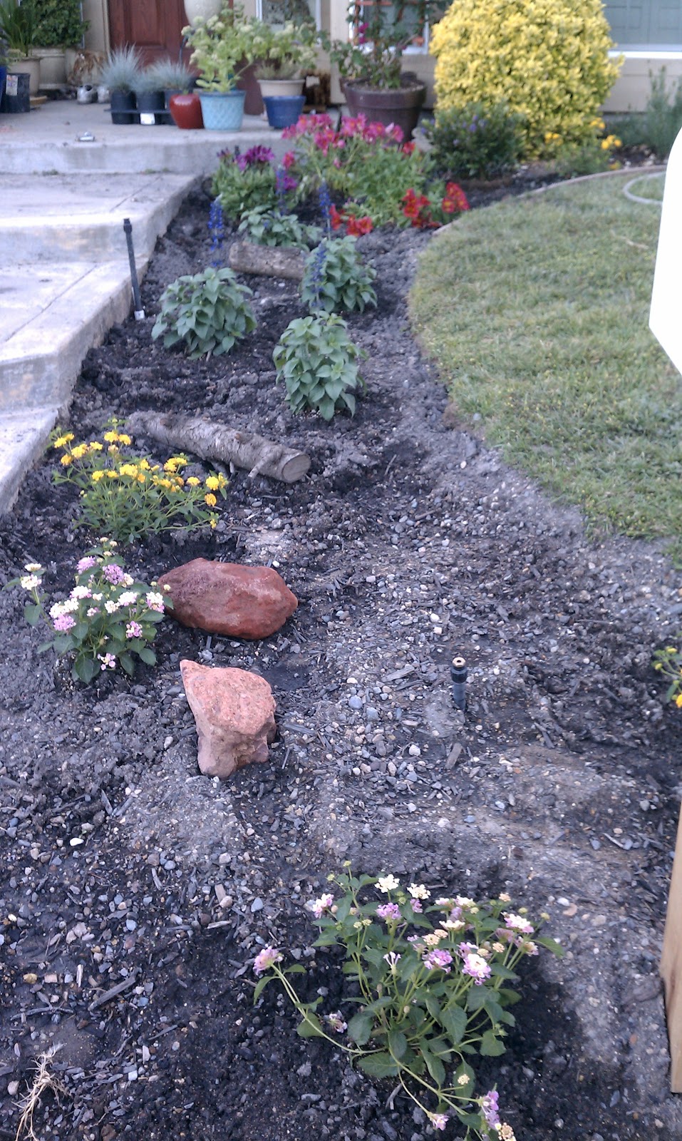 The pursuit of perennial curb appeal