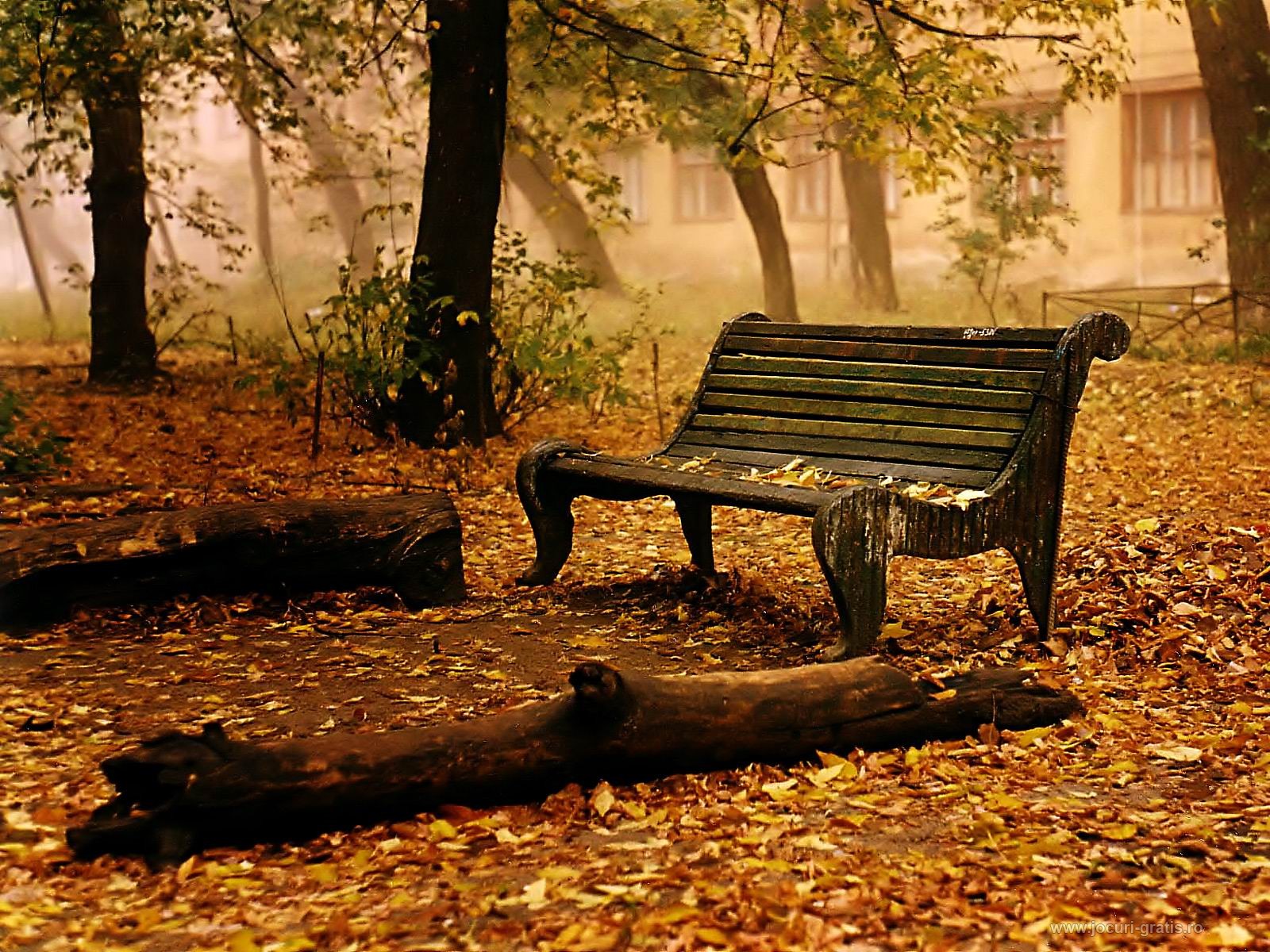 http://1.bp.blogspot.com/-9RAzKJVmYw8/UHdq6ucqNMI/AAAAAAAAD7M/NuaGKDyZeYw/s1600/fall-desktop-backgrounds.jpg
