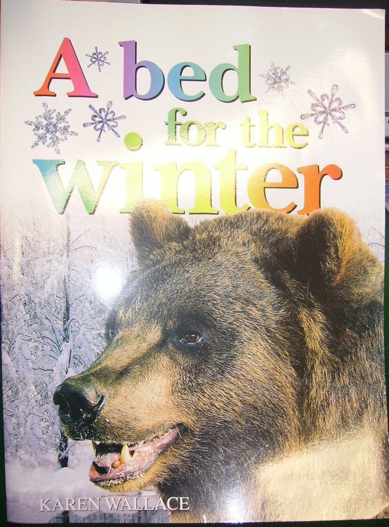 Kopy Kat Kinders Do Trees Hibernate?