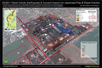 2011 Japan Earthquake & Tsunami Impact on Japanese Pulp and Paper Industry and Forestry Product Ports, Case Study NPG Nippon Paper Group Ishinomaki Pulp and Paper Mill Tsunami Damage 3D Satellite Photography / Impacto del Terremoto y Tsunami de Japon 2011 en puertos de importacion y exportacion de productos forestales e industria de pulpa celulosica y de papel del Japon y en la importacion de astillas de madera de eucalipto a Japon: Estudio de Caso 02: Fabrica de Celulosa y Papel de NPG Nippon Paper Group Ishinomaki, Fotografia Satelital en 3D / パルプ紙2011年の日本地震の影響の予備的な地図セルロース日本 / เยื่อแผ่นดินไหวญี่ปุ่นและแผนที่อุตสาหกรรมกระดาษ / Япония 2011 целлюлозно землетрясения и карта бумажной промышленности / اليابان اللب والورق زلزال 2011 خريطة صناعة / Impacto do Terramoto e Tsunami de Japão 2011 nos portos de importaçao e exportaçao de produtos florestais e na industria do papel e celulose do Japão e na importaçao de chips de madeira de eucalipto do Japão: Estudo de Caso 02: Fabrica de Celulose e Papel da NPG Nippon Paper Group em Ishinomaki, Fotografia Aerea em 3D / Gustavo Iglesias Trabado, GIT Forestry Consulting SL, Consultoria y Servicios de Ingenieria Agroforestal, Lugo, Galicia, España, Spain / Eucalyptologics, Information resources on sustainable eucalypt cultivation worldwide / Recursos de informacion sobre el cultivo sostenible del eucalipto en el mundo