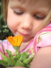 Loving dat Calendula