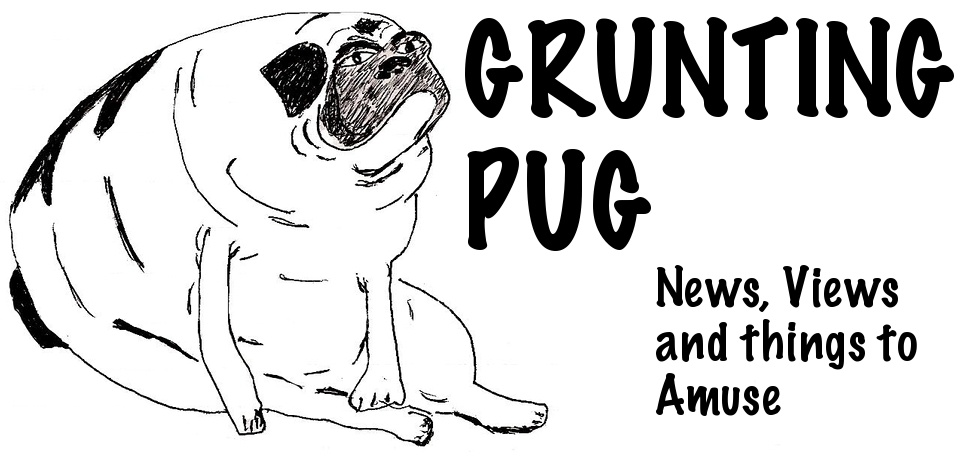 Grunting Pug
