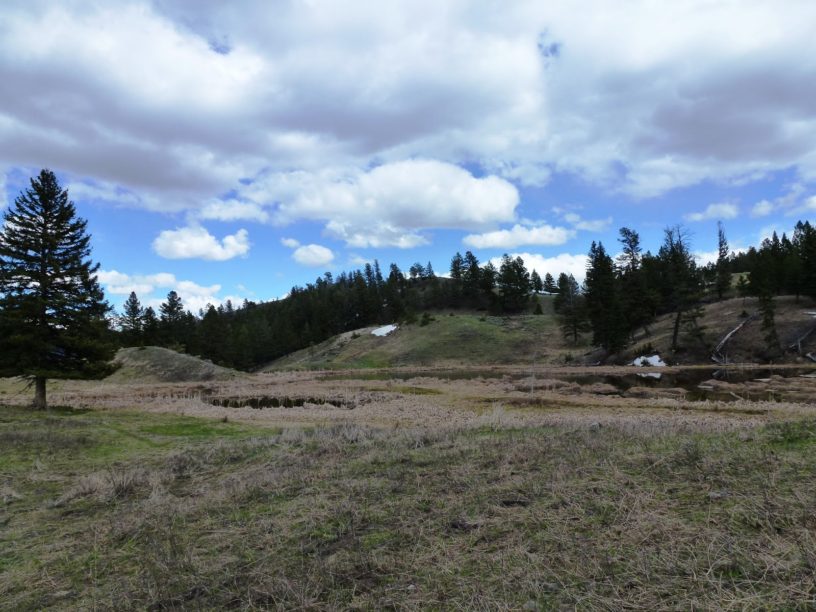 Brian and Ashley's Hiking Blog! Beaver Ponds Trail (Yellowstone