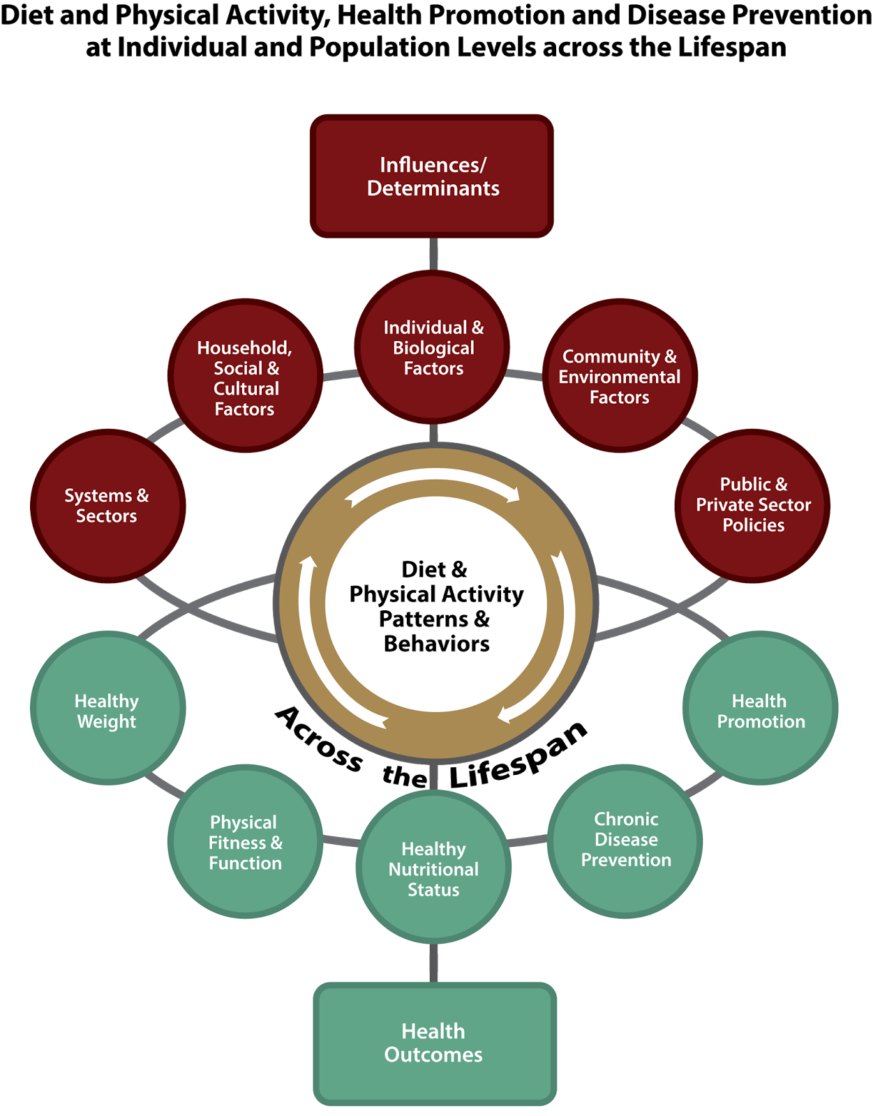 The Rural Blog 2015 Dietary Guidelines cutting back on red and processed meat, sugar