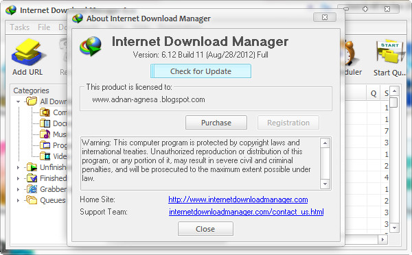 Internet Download Manager Serial Number Version 6.07