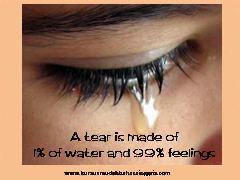 Contoh Kalimat Sedih Dalam Bahasa Inggris Lengkap Dengan