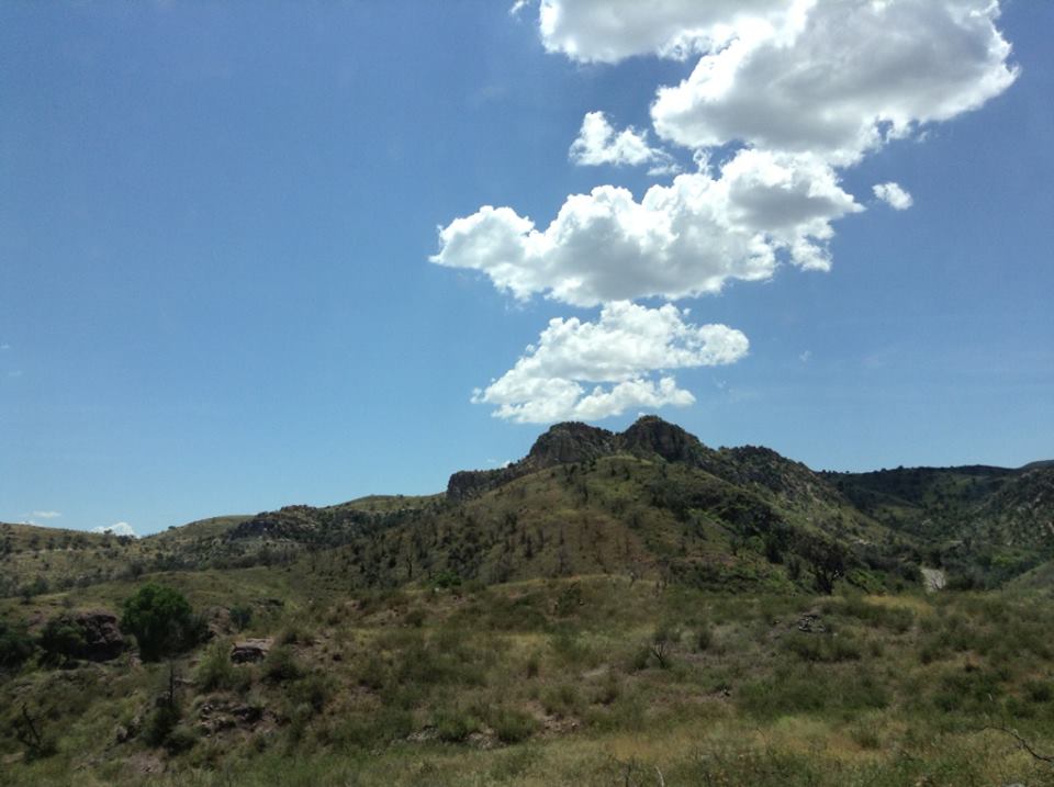 Birding Is Fun! Beyond the Bins in Baja Arizona