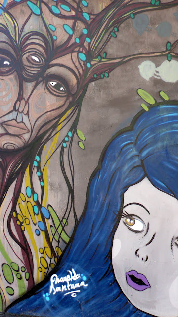 naska and santana graffiti street art in bellavista and patronato, santiago de chile