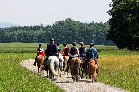 Über uns