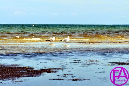 Ein Tag am Strand