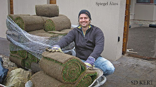 Spiegel Ákos