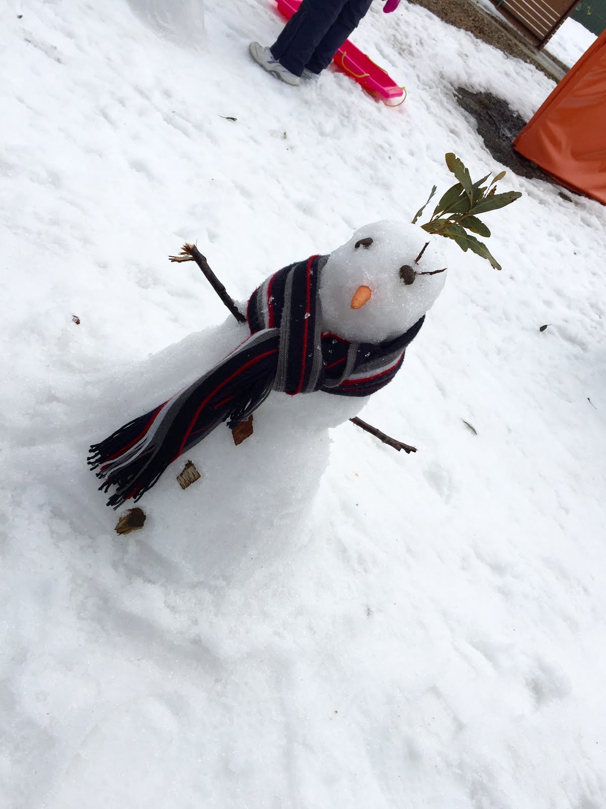 Lake Mountain Alpine Resort Live Laugh Luv Down Under