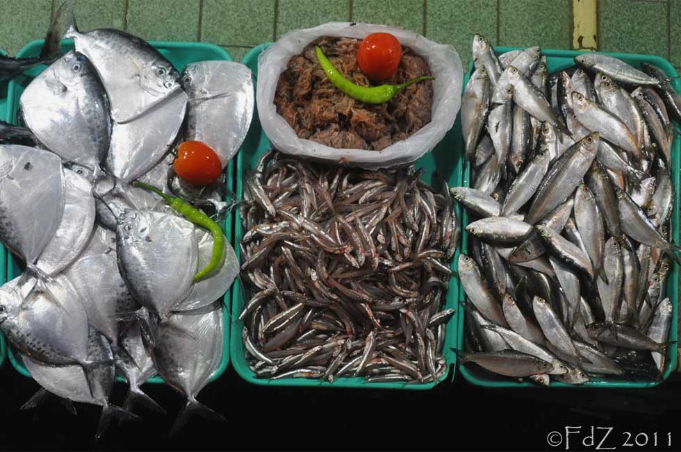 fish stores in my area