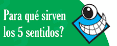 Juego de los 5 sentidos