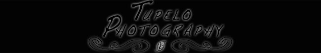 Tupelo Photography