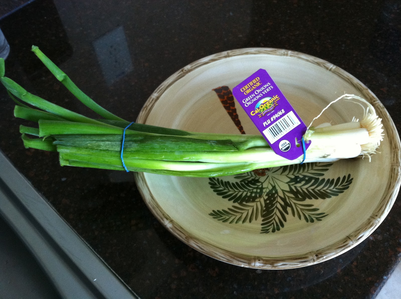 Adventures of an Island Gal Growing Chives