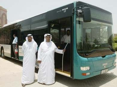 school bus school bus