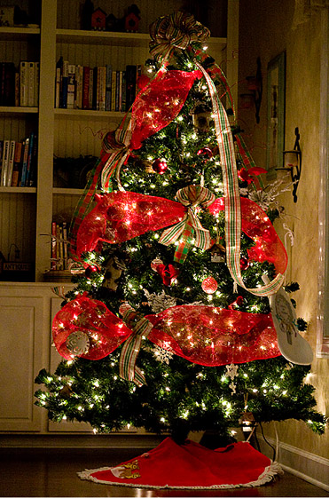 Christmas tree  Living Liturgy :: Everyday Snapshots