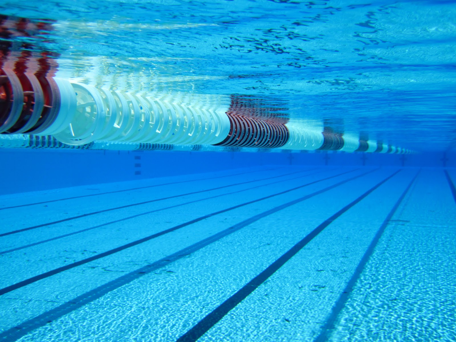 Swimming: September 2012