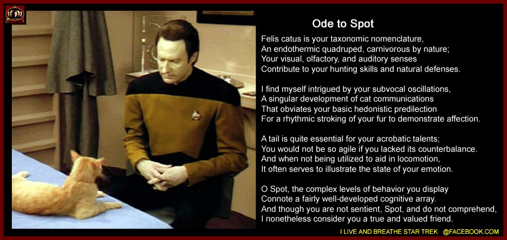 Data S Cat Spot Poem Data S Cat Spot Poem