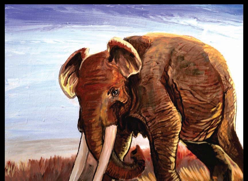 Historia, tecknat och annat Anancus