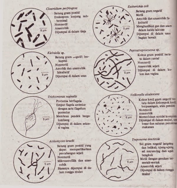 6 Feminist Myths That Will Not Die - TIME