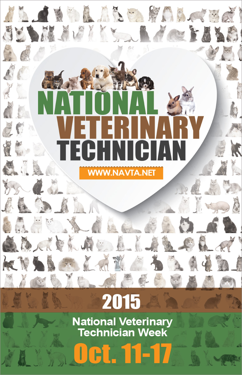 National Veterinary Technician Week Constantly Moving the Bookmark