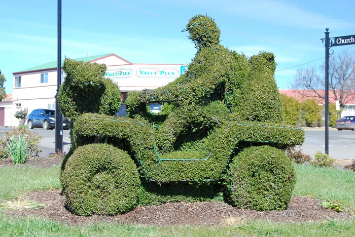 Scultura vegetale | L'arte Topiaria