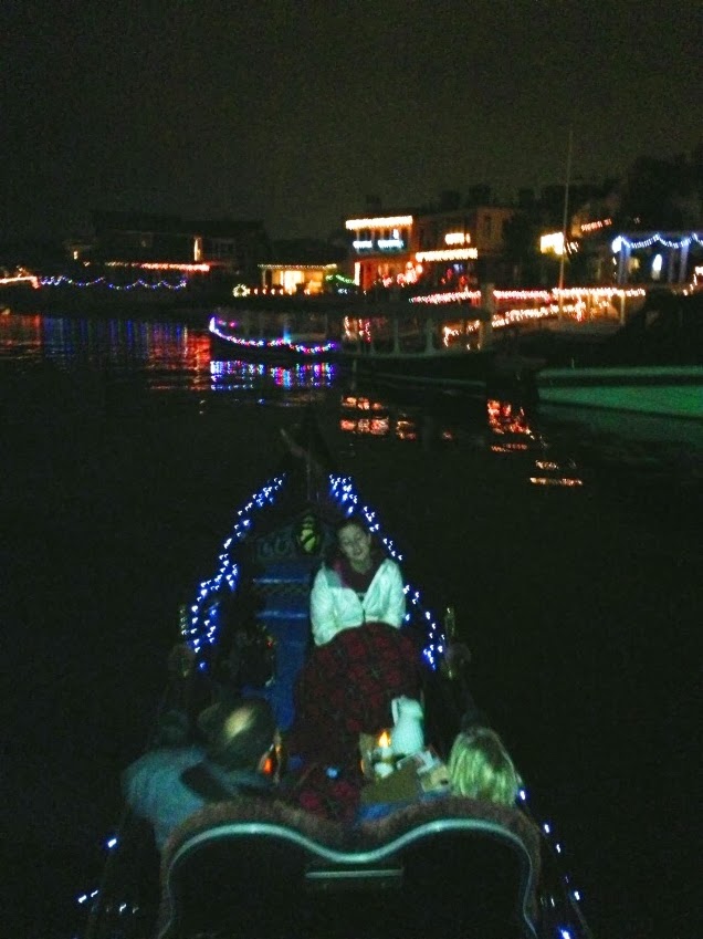 The Gondola Blog Solar Powered Christmas Lights