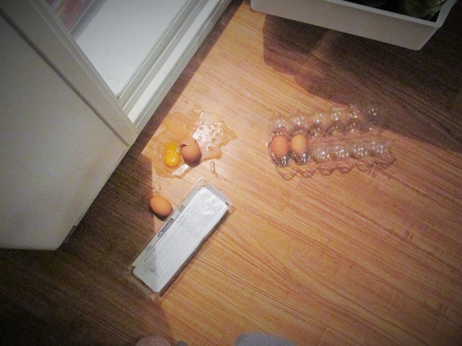 dropped dozen eggs by my refrigerator