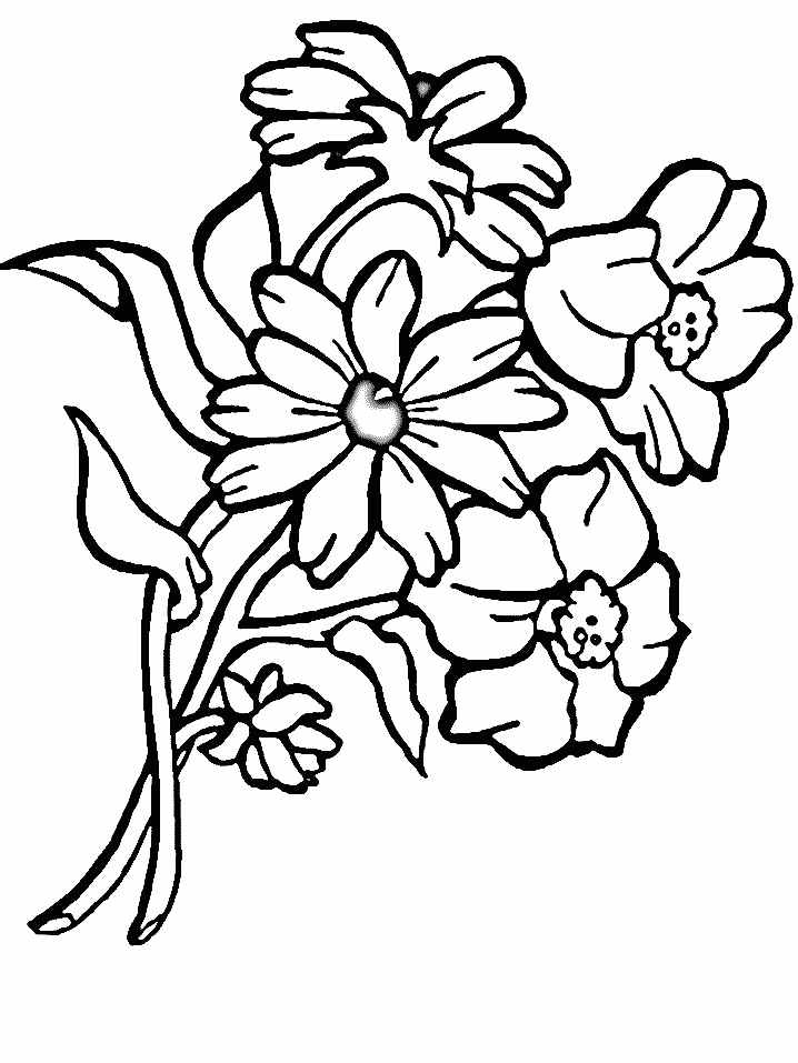 Dibujos para pintar flores y ramos de flores CLASE GRATIS  - Imagenes De Ramos De Rosas Para Colorear