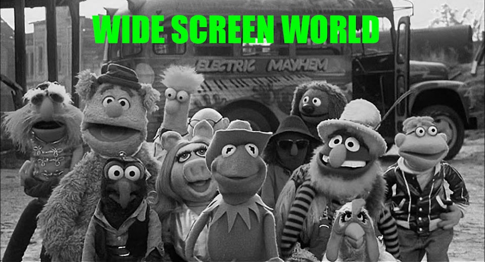 Wide Screen World