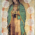 The Miracles in the image - Our Lady of Guadalupe