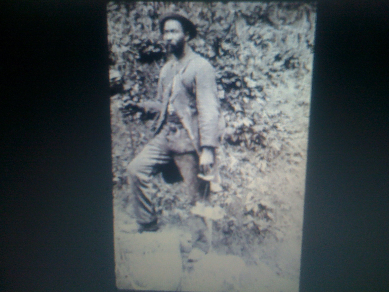 THE BLACK SOCIAL HISTORY BLACK SOCIAL HISTORY SLAVERY IN ARKANSAS