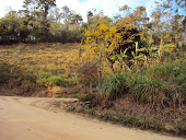 NOSSA BUCÓLICA ESTRADA...