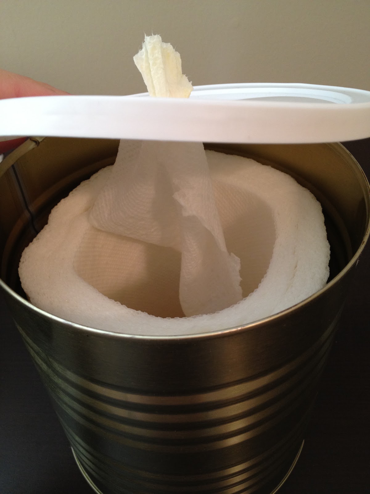 The DIY Guinea Pig DIY Baby Wipes