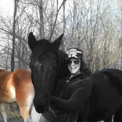 my beautiful mare Sookie Stackhouse