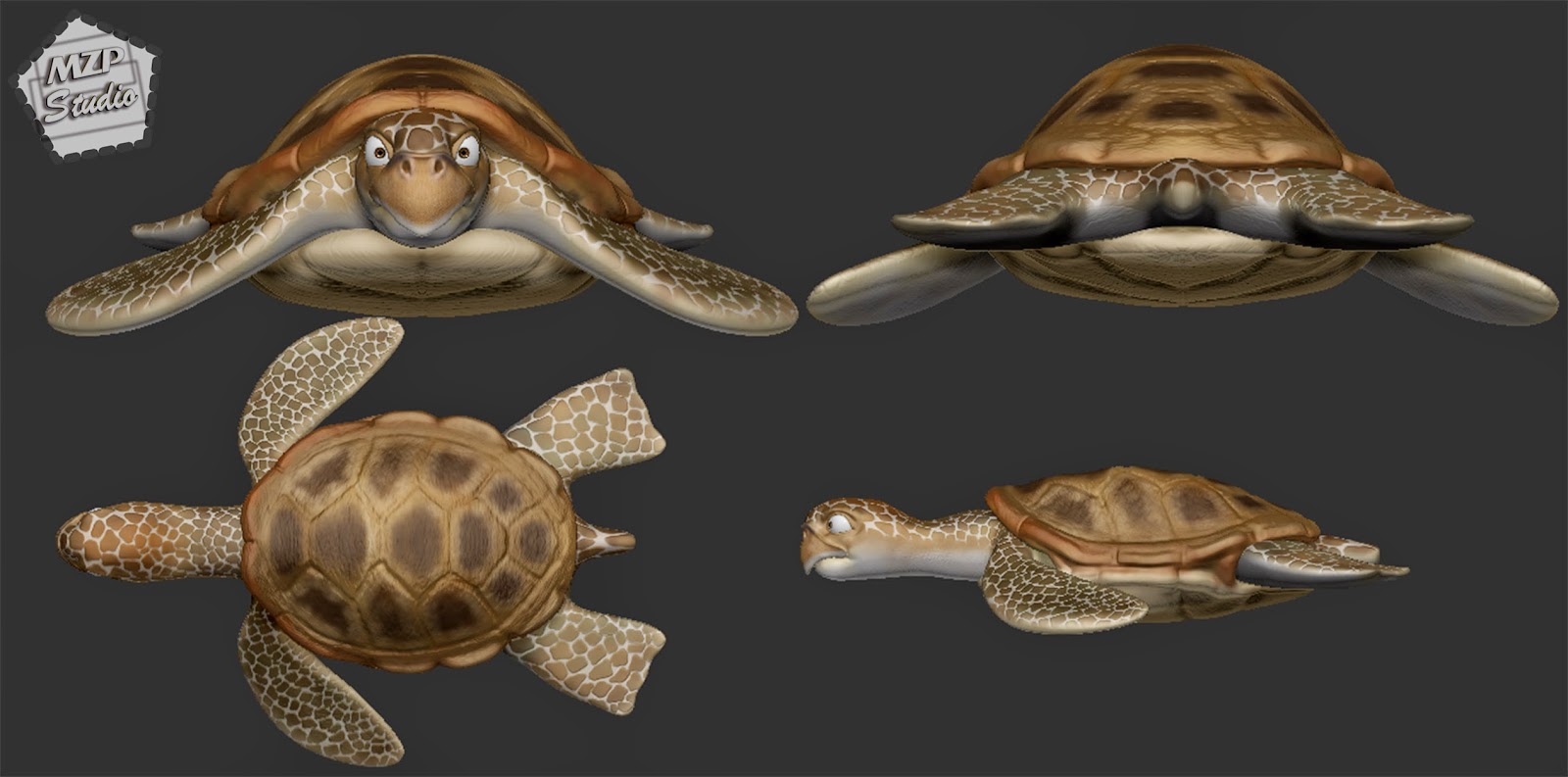 SeaTurtle.jpg