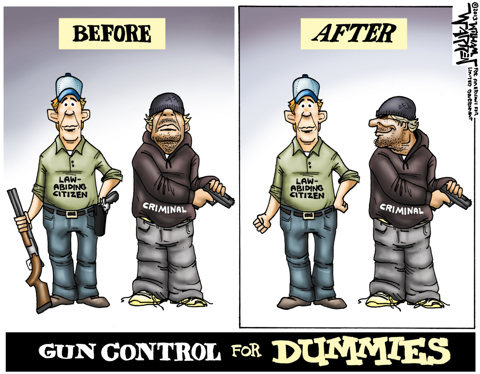 Gun Control for Dummies