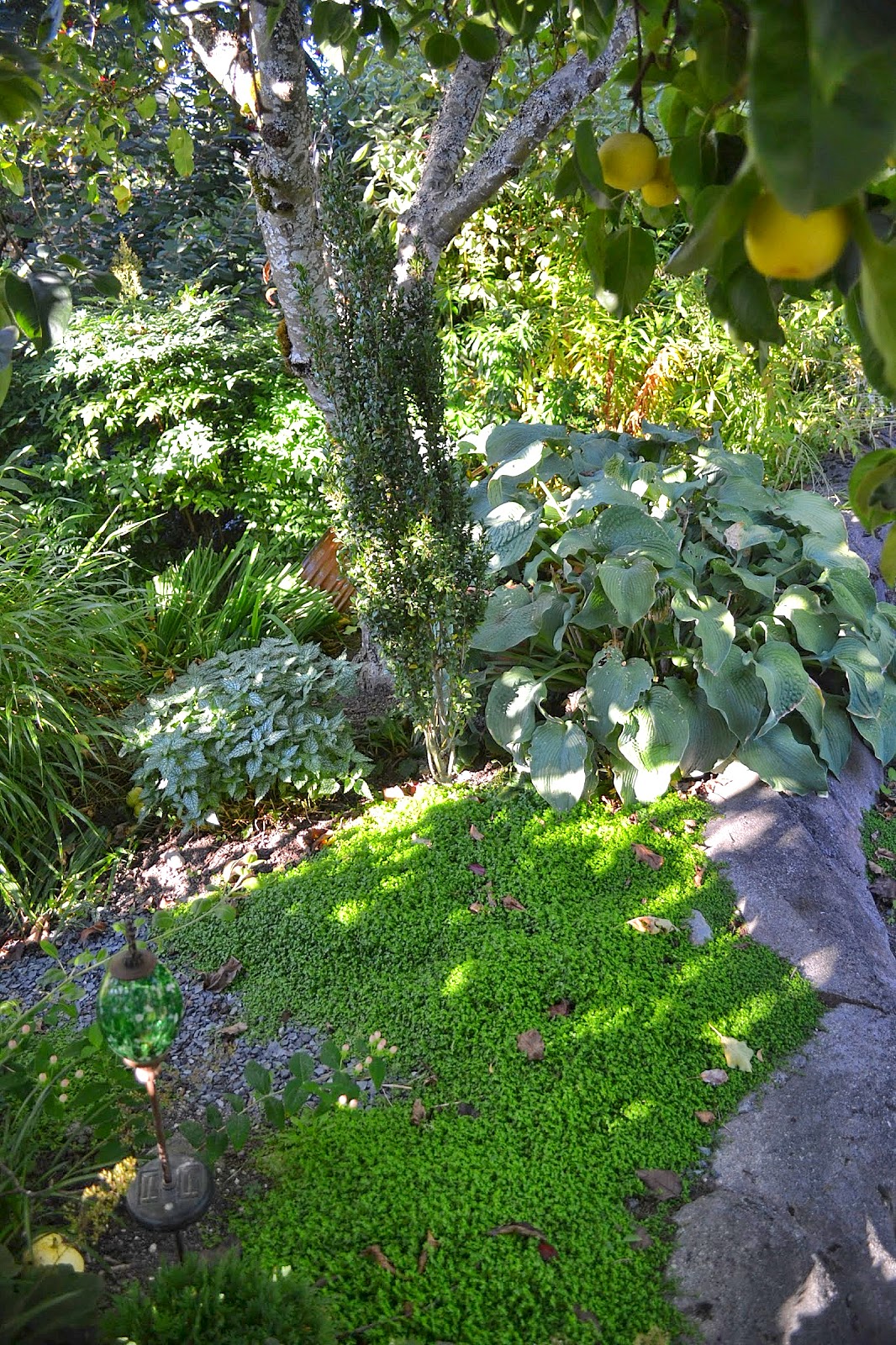 Integra Stock Photos Integra Stock Images Alamy