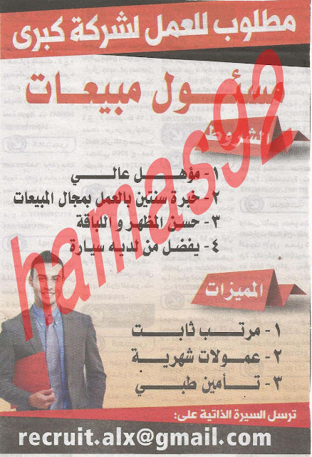 وظائف خالية فى جريدة الوسيط الاسكندرية الاثنين 22-07-2013 %D9%88+%D8%B3+%D8%B3+1