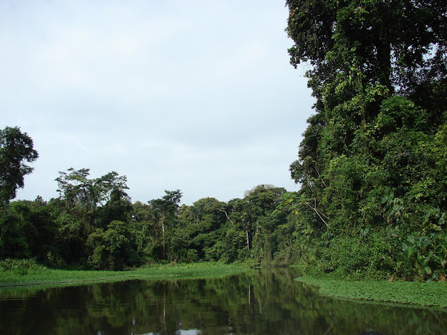 Paisajismo, pueblos y jardines: julio 2012